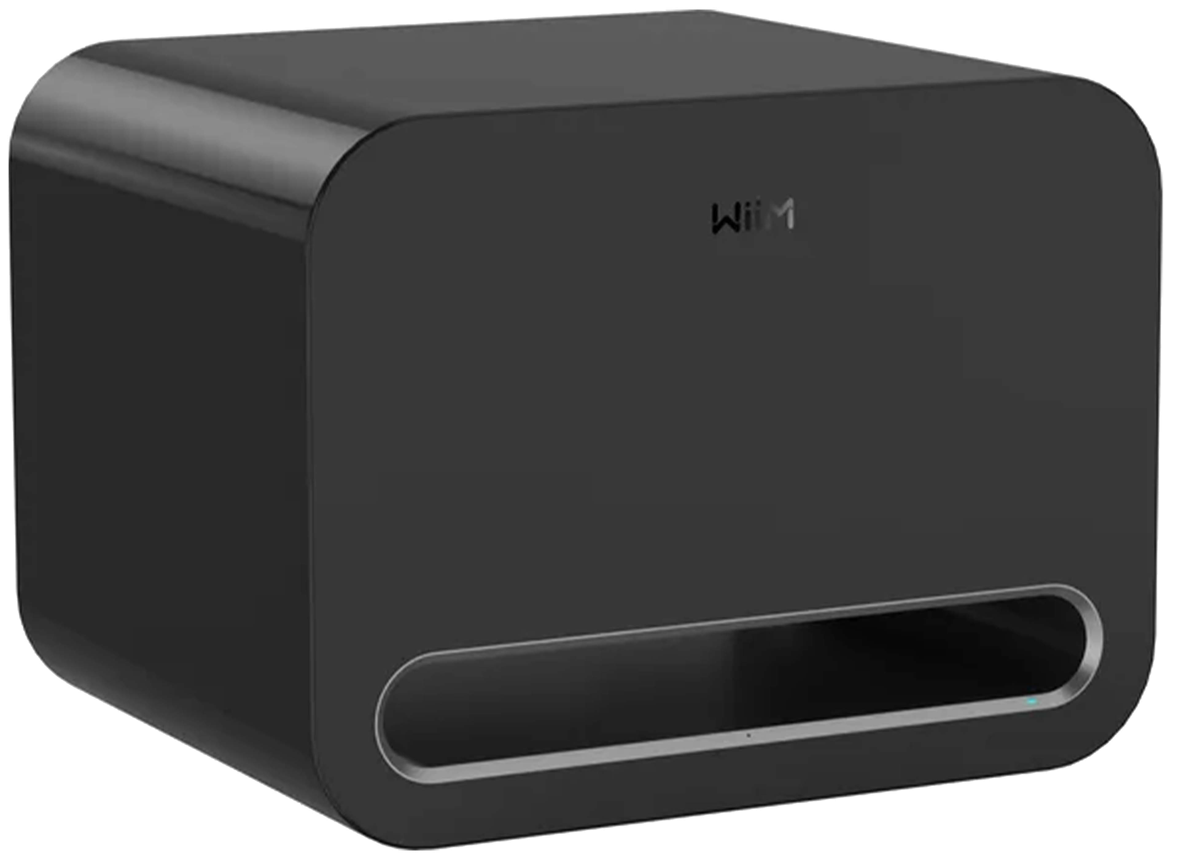 WiiM Sub Pro (Black) - Wireless Subwoofer