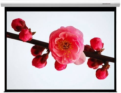 Grandview Cyber 150" Motorised Projector Screen 4:3