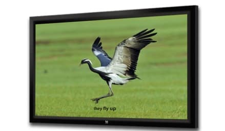 JK F9-106 - Fixed Frame Screen
