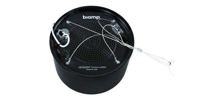 Biamp Cambridge DS1339B - Biamp 70V plenum loudspeaker in black