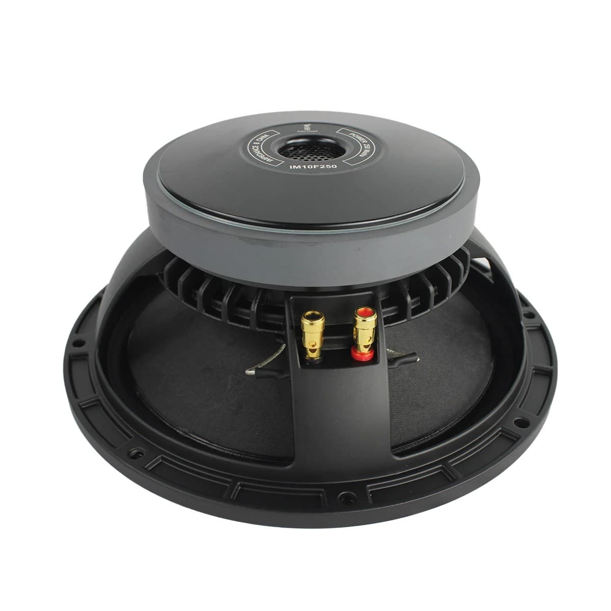 Imix - IM10F250 10″ 250W Loose Speaker