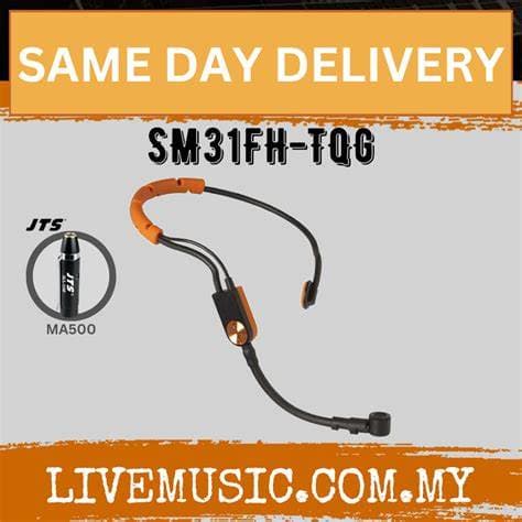 SHURE SM31FH-TQG Fitness Headset Microphone