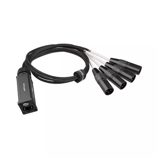 Roxtone - CAT SNAKE SPLITTER 4X XLR MALE – ETHERCON RJ45