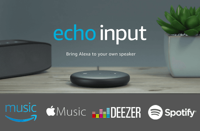 Echo Input : Stream music to any device