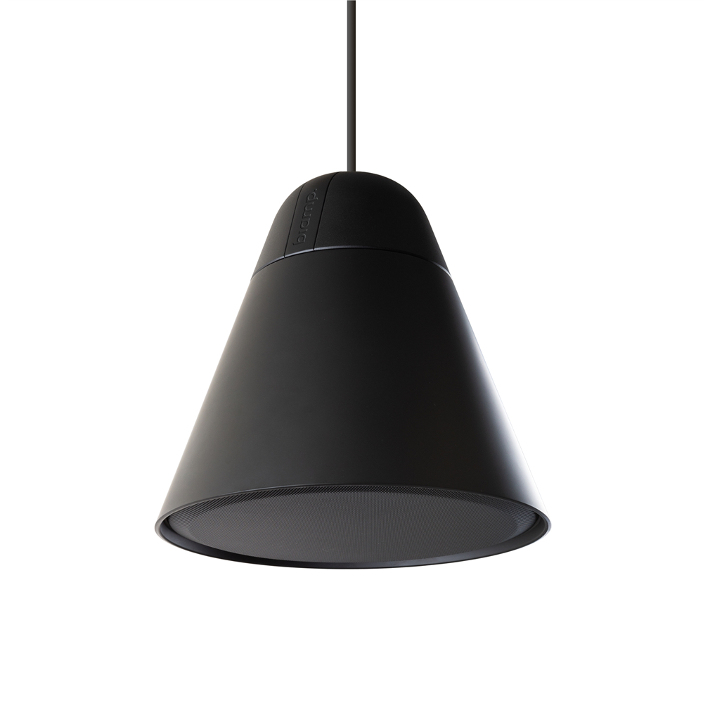 BiAmp P30DT - 4.5" Two-way pendant loudspeaker