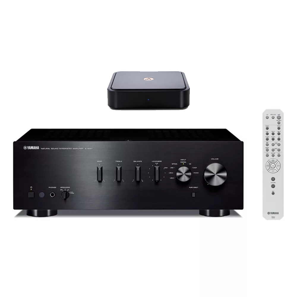 Yamaha A-S301 with Argon Solo Streaming Device