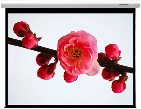 Grandview Cyber 100" Motorised Projector Screen 4:3