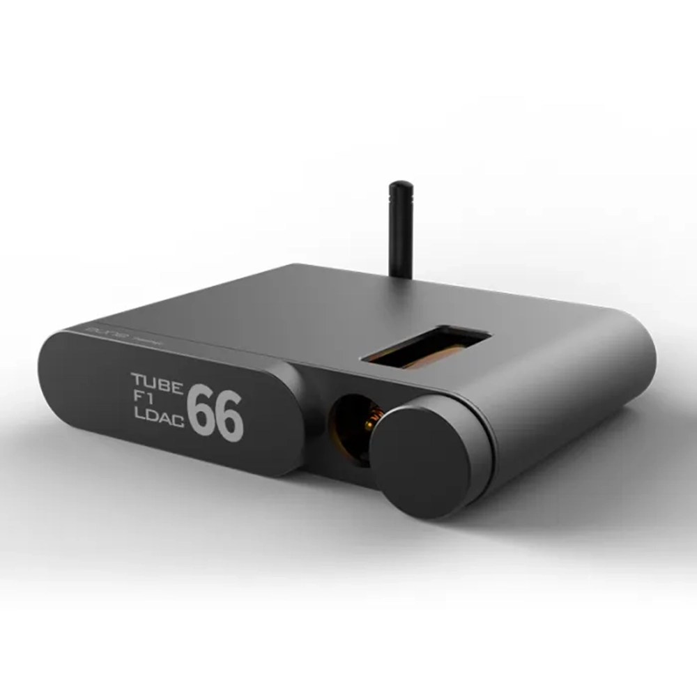 Aune Flamingo BD Tube DAC