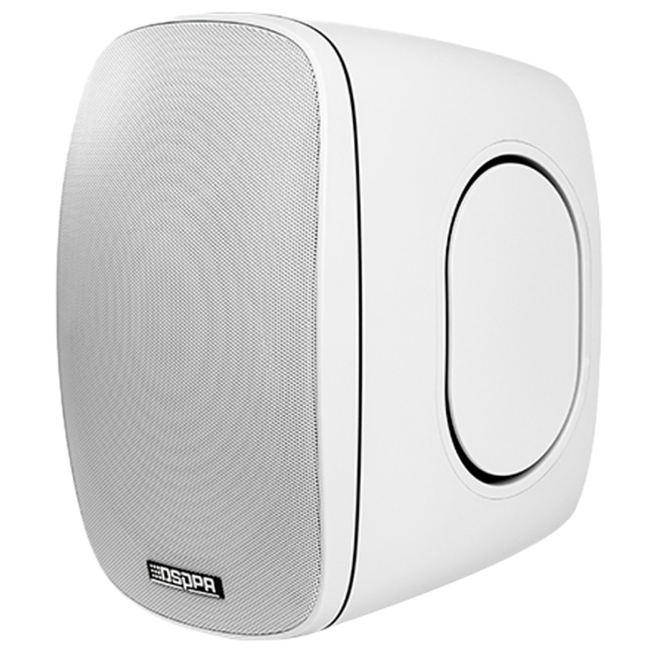 Dsppa 6.5 driver 100v Line Outdoor Cabinet Speaker
