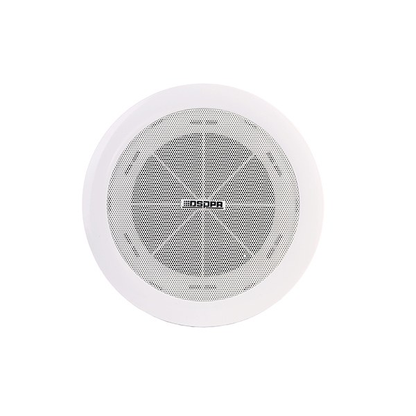 Dsppa 70v - 100v Line Outdoor Cabinet Speaker