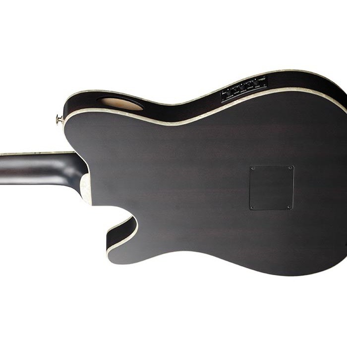 Ibanez TOD10N-TKF - Tim Henson Signature Nylon-String Acoustic-Electric Guitar, Transparent Black Flat — view 3