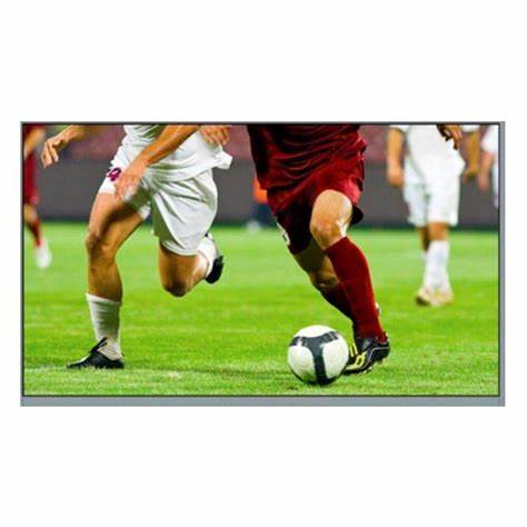Optoma ALR101 - 100inch ALR Projector Screen — view 2