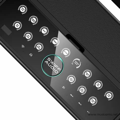 SWIFF Audio S100 AuraTouch Full-Function Amplifier — view 6