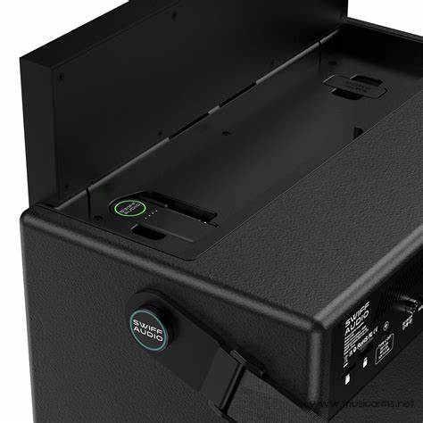 SWIFF Audio S100 AuraTouch Full-Function Amplifier — view 8