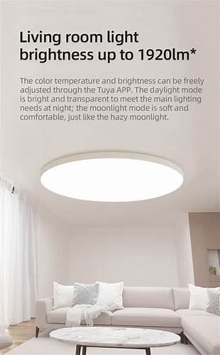 ZEMISmart Smart LED Ceiling Light 24W White (Tuya WiFi) — view 3