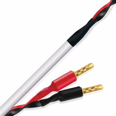 Wireworld Stream 10 Speaker Cable - Pre-Terminated Banana to Spade Pair 3m