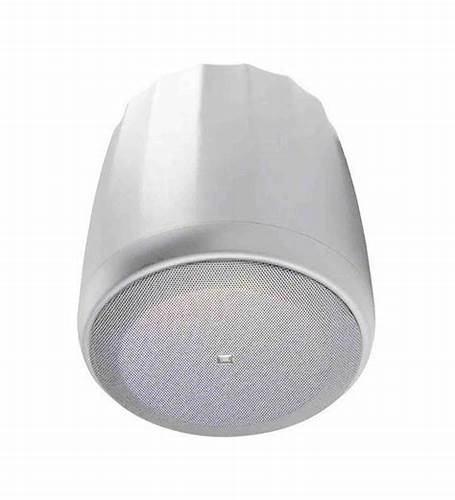 JBL C60PS/T Pendant Subwoofer — view 2