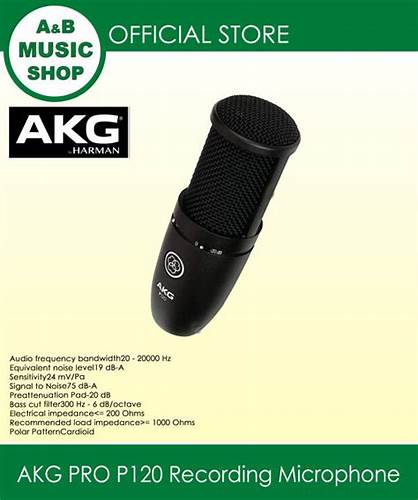 AKG Professional P120 - Professional Studio Condenser Microphone for General Purpose Recording — view 7