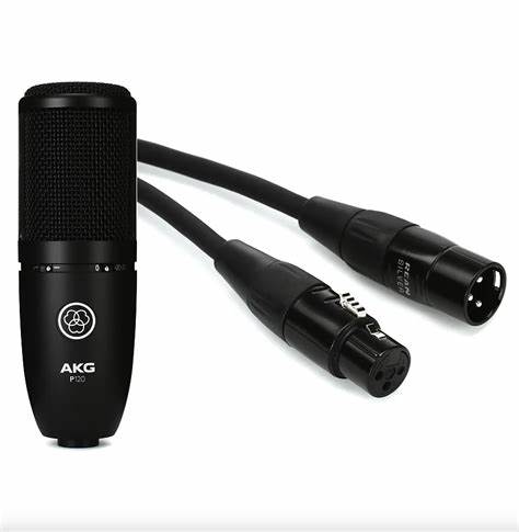 AKG Professional P120 - Professional Studio Condenser Microphone for General Purpose Recording — view 6