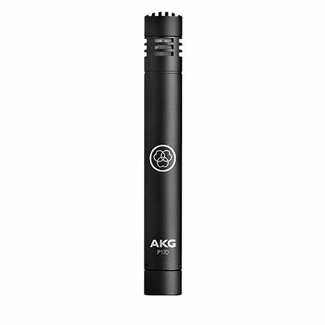 AKG Professional P170 - Professional Instrumental Microphone with Small Diaphragm