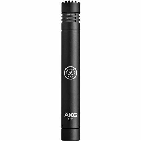 AKG Professional P170 - Professional Instrumental Microphone with Small Diaphragm — view 5