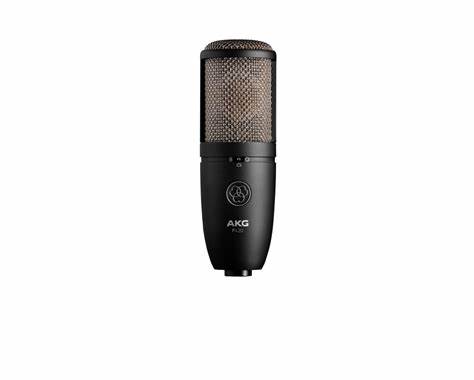 AKG Professional P420 - Professional Large-Dual-Diaphragm True-Condenser Microphone — view 6
