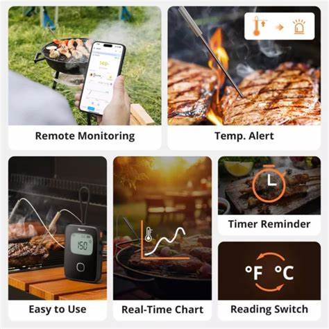 Sonoff BBQ Meat Thermometer — view 5
