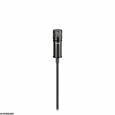 Audio-Technica ATM350PL Piano Microphone — view 6
