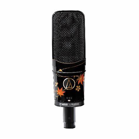 Audio-Technica AT-4050 Multi-pattern Condenser Microphone — view 5