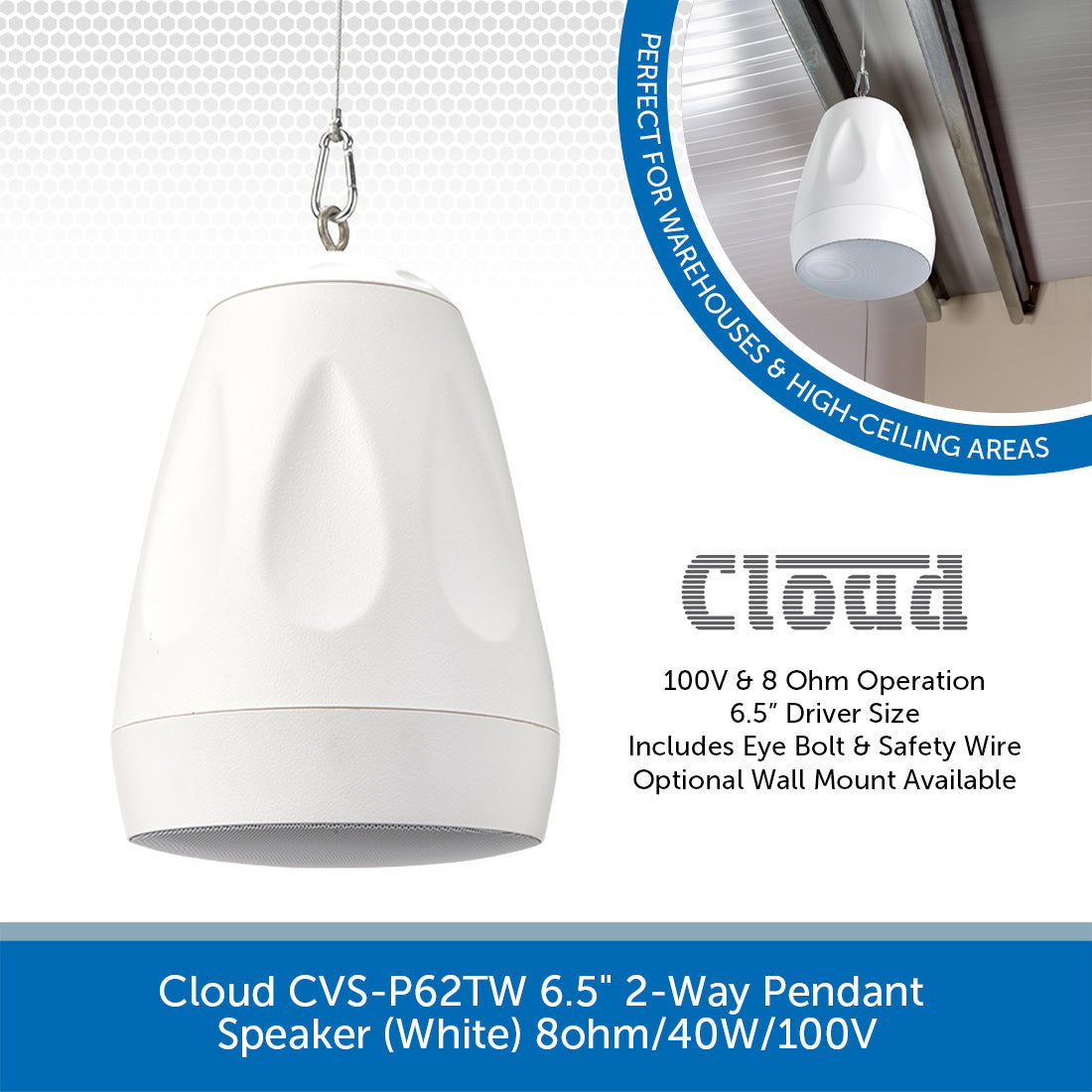 Cloud - CVS-P62TW IP Camera System