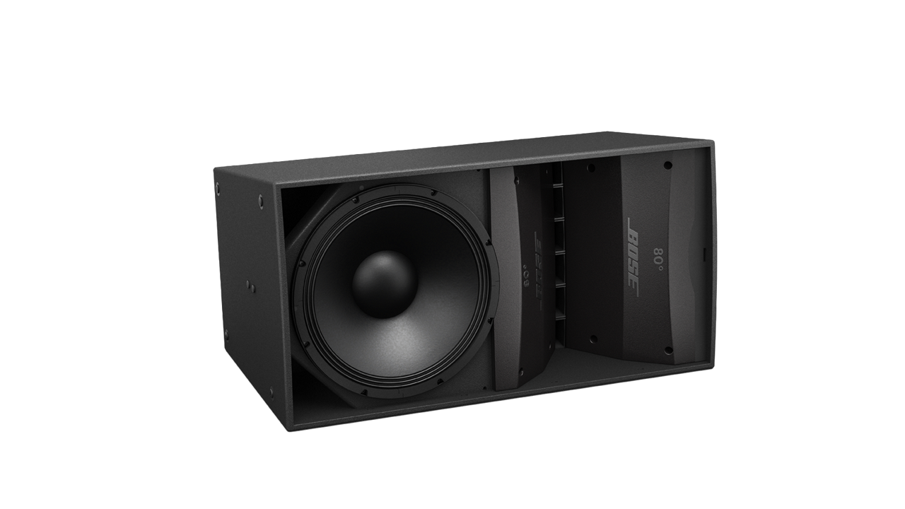 Bose - AM10/100 ArenaMatch DeltaQ Array Loudspeaker