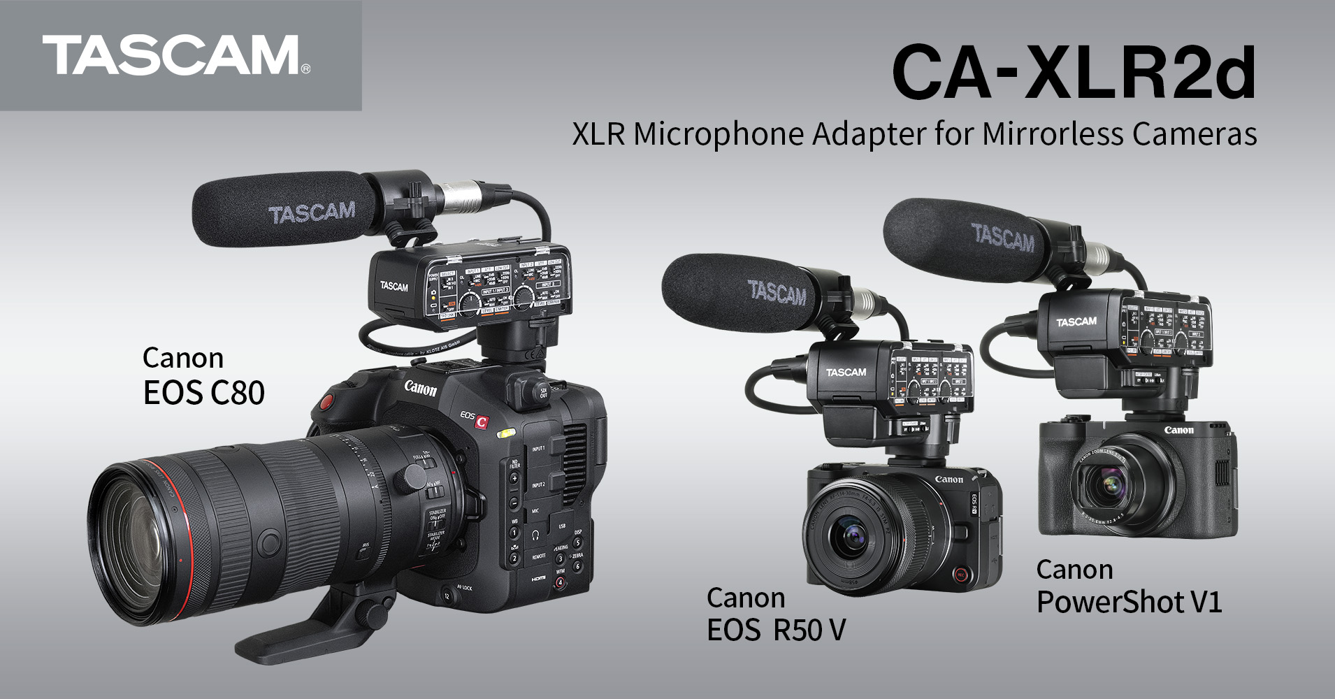 Tascam CA-XLR2D-AN — view 5