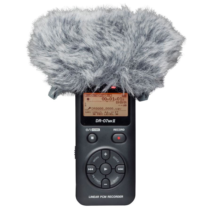 Tascam WS-11
