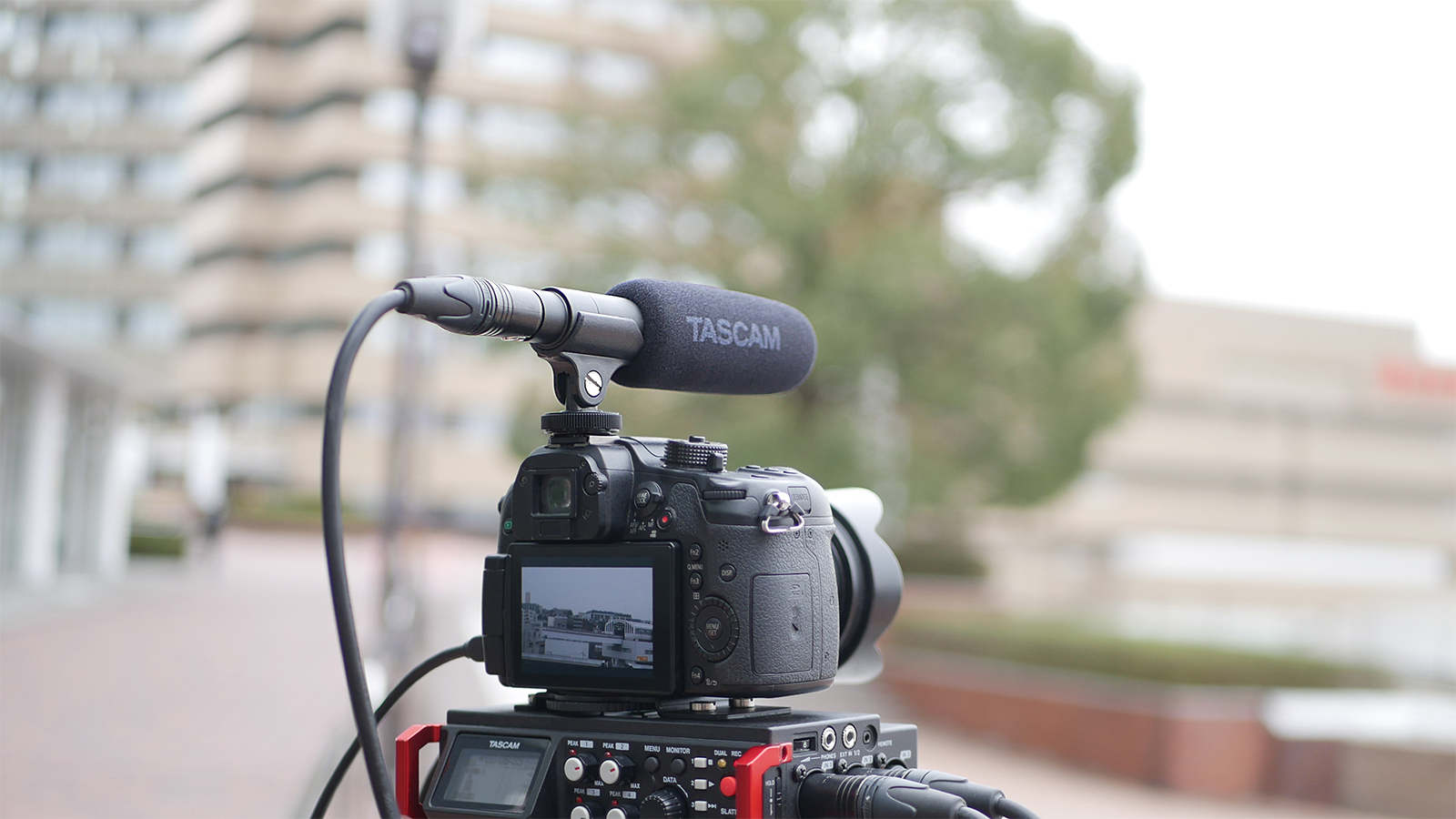 Tascam TM-200SG — view 4