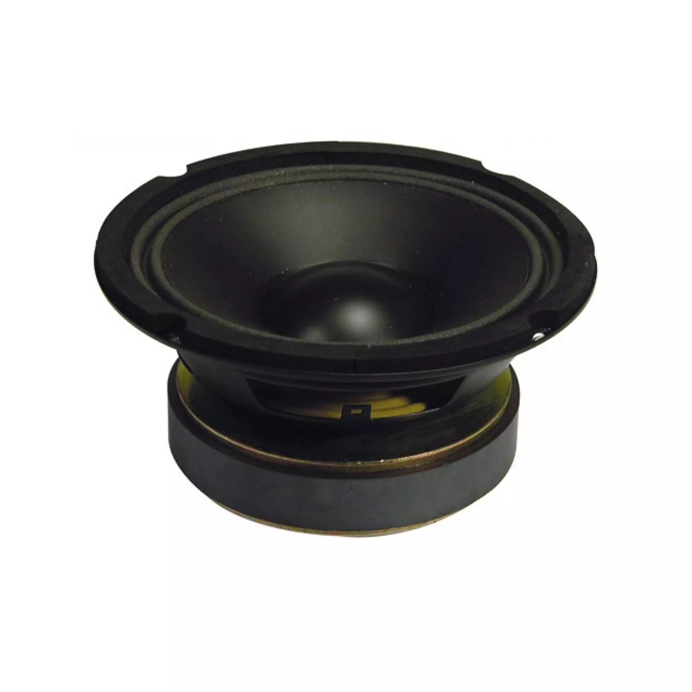 Vonyx - WP16 REPLACEMENT DRIVER 8INCH FOAM 100W